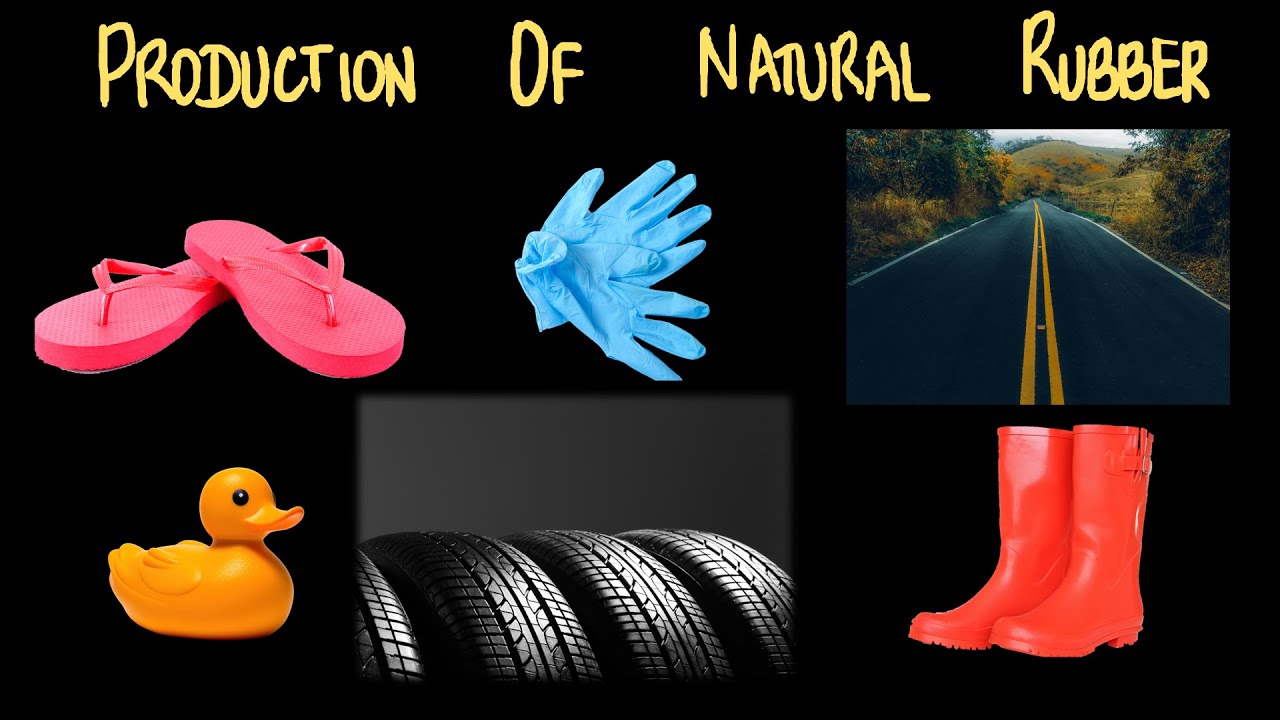 Production of Rubber | Substances in daily use | Middle School | Science | Khan Academy