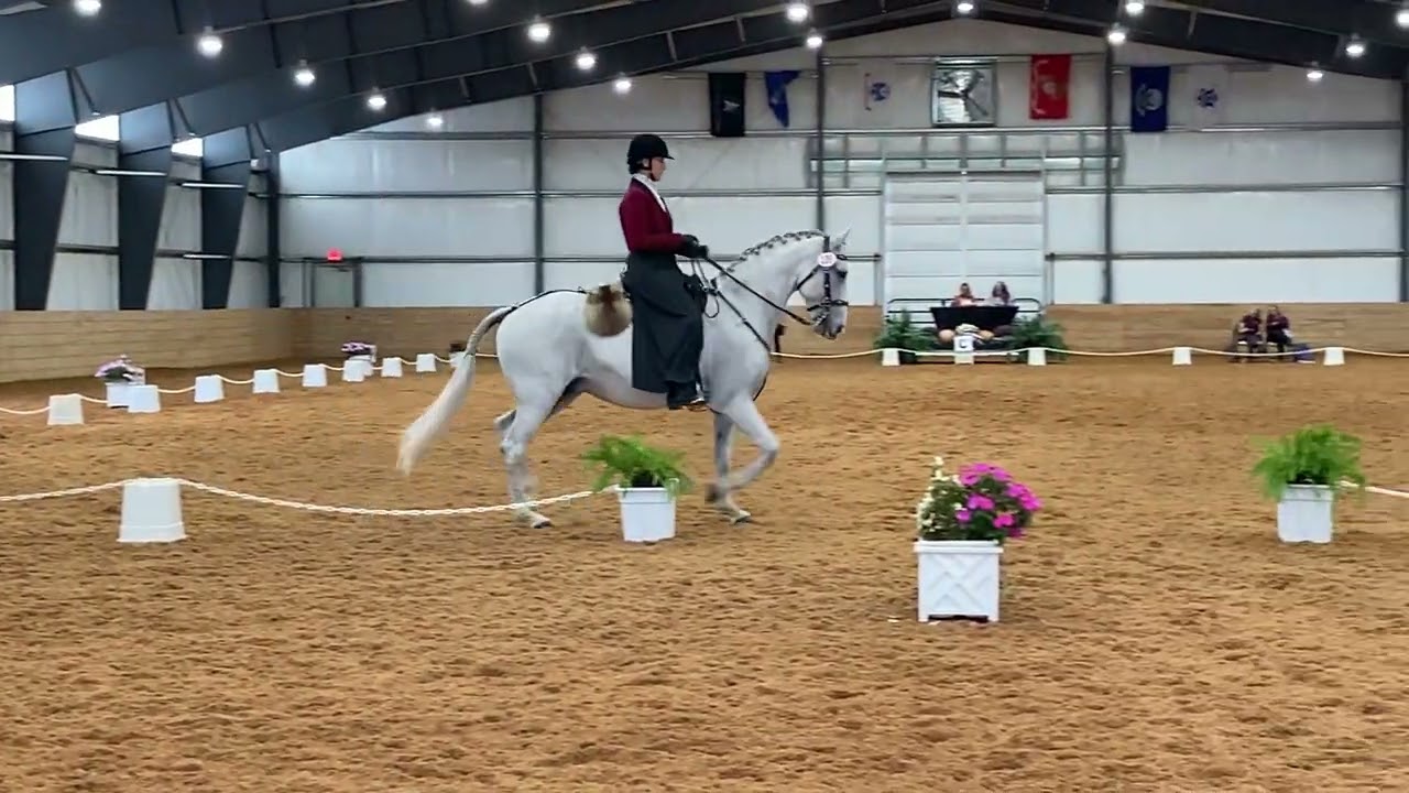 Working Equitation Dressage test - Advanced (L6).  Stephanie Hayes and DEM Rayo.