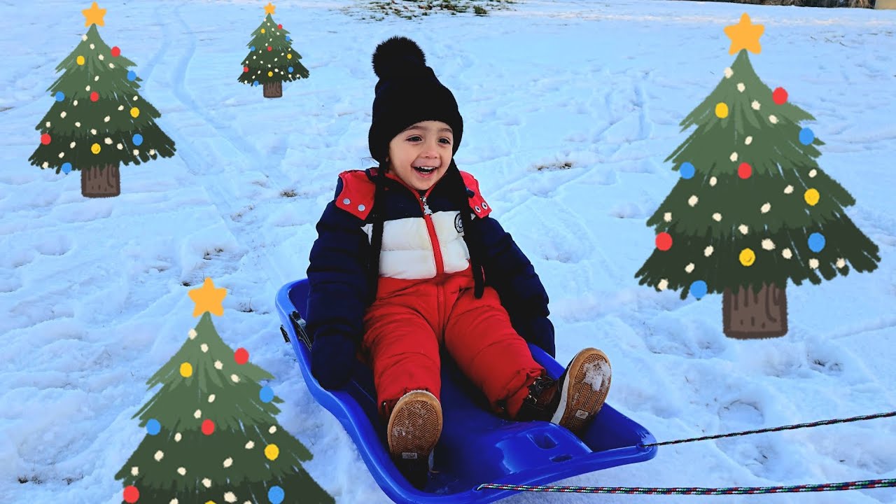 Baby snow slide | feed birds with seeds