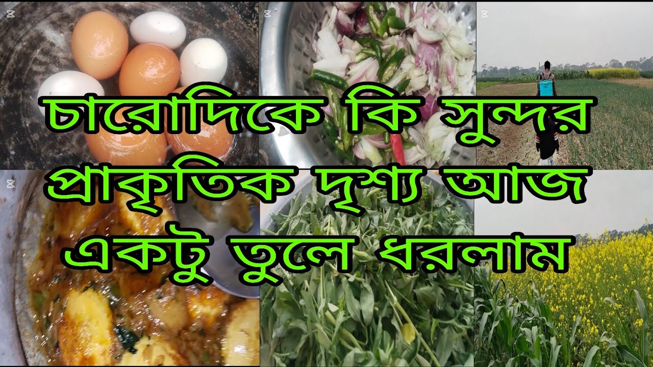 সারাদিন বাড়িতে কি কি করলাম নতুন বছর আগমনের জন্য কি কি প্লান করলাম 