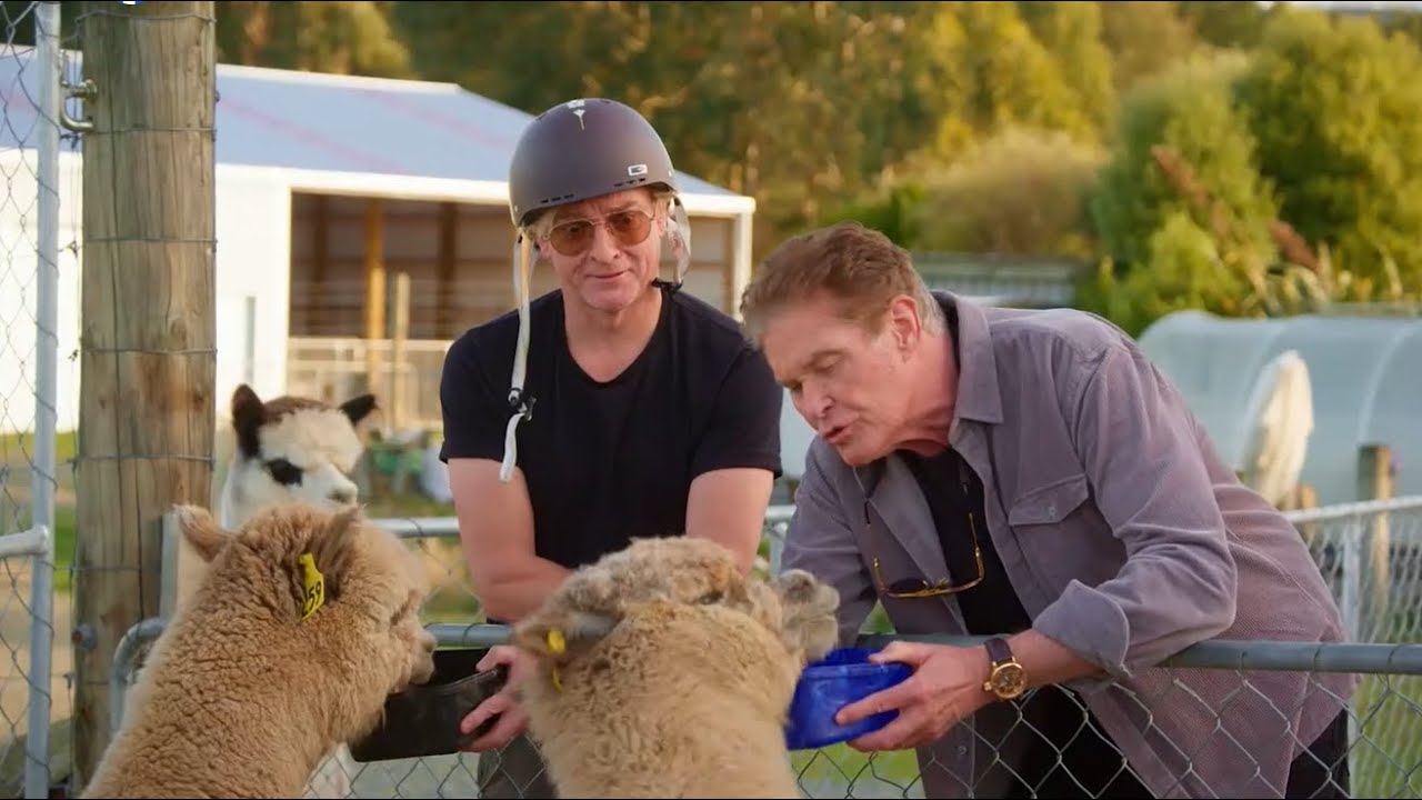🚨 BROADCAST ALERT 🚨 Hoff Roading with David Hasselhoff and Rhys Darby. Coming Very Soon