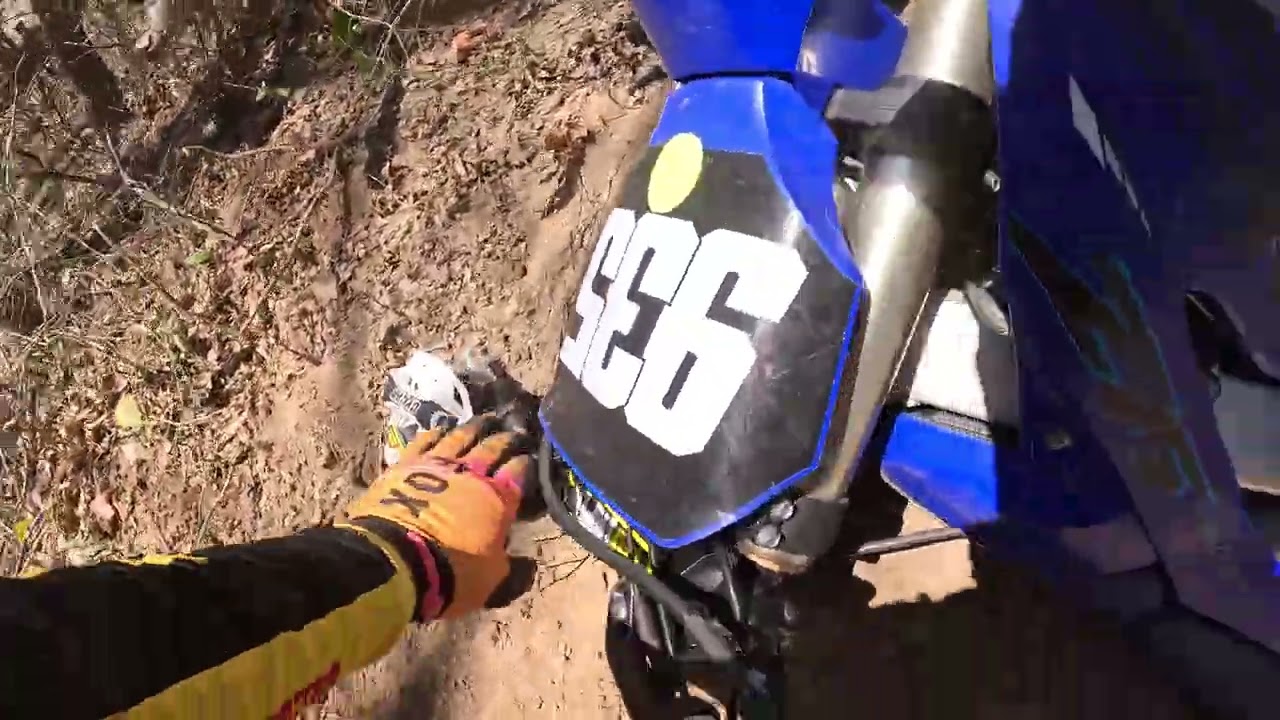 Torcs Zars vet 30 c race  last couple laps