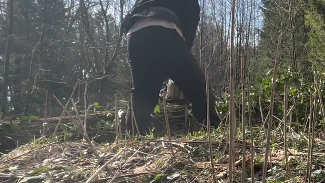 Windwurf Sturmschaden Aufarbeitung mit Stihl 026 und Tajfun Forstseilwinde mit Funk am Fendt 308 LSA
