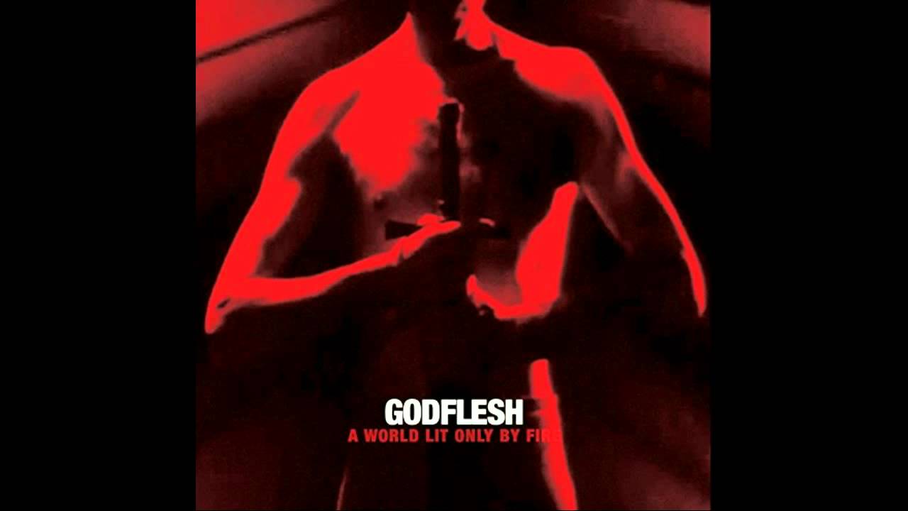 Godflesh - Life Giver Life Taker