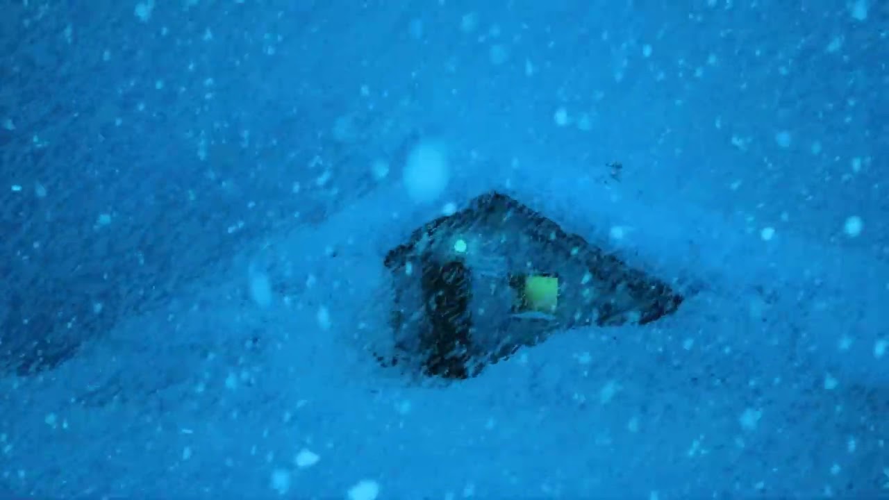 Deepest ASMR Sleep | Blizzard Sounds & Intense Howling Wind for Sleeping | Snowstorm Ambience