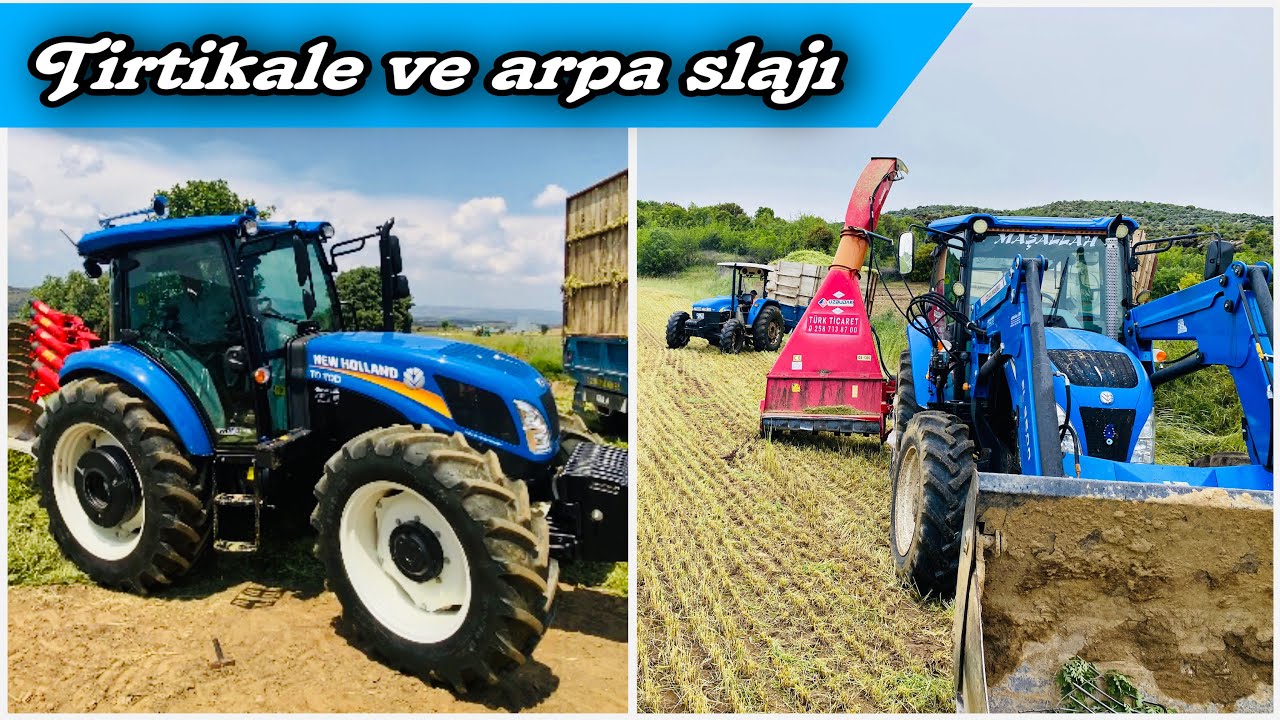 Ot slajına başladık / newhollandlar iş başında / tirtikale slajı