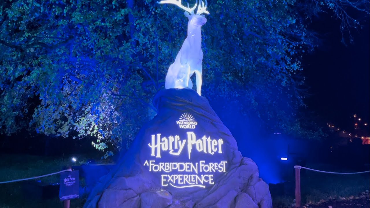 Harry Potter - A Forbidden Forest Experience, Arley Cheshire walk through video November 2022