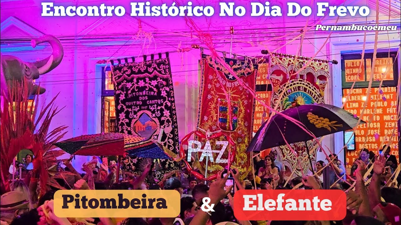🐘 Elefante & Pitombeira 🌿 