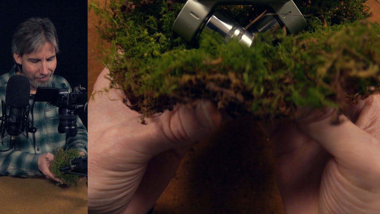 Late Fall Nature Haul ASMR
