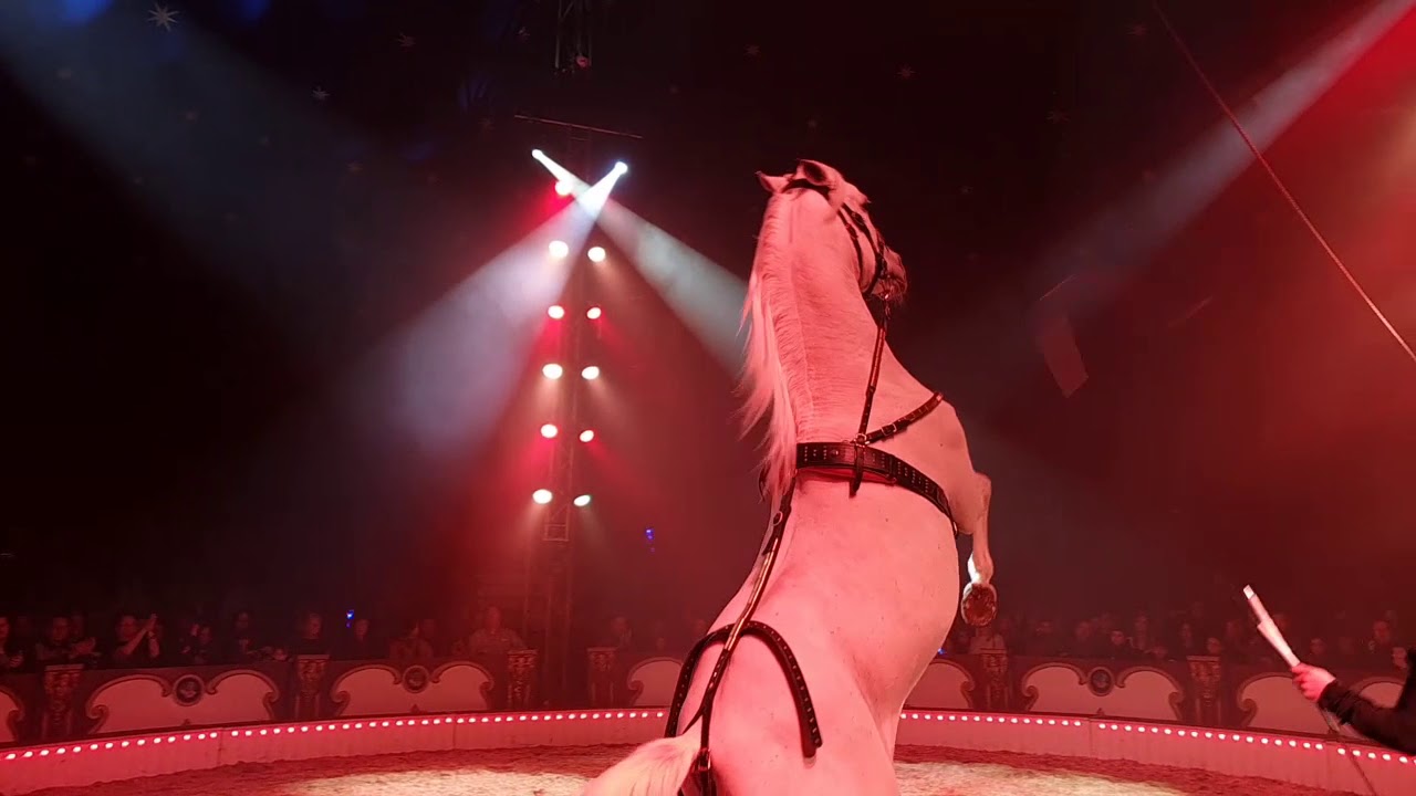 La dernière séance SPECTACLE COMPLET DU CIRQUE DE STEFAN AGNESSEN dimanche 5 janvier