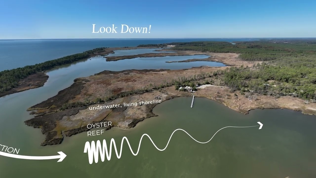 Sea Level Rise Explorer: Point Lookout, MD