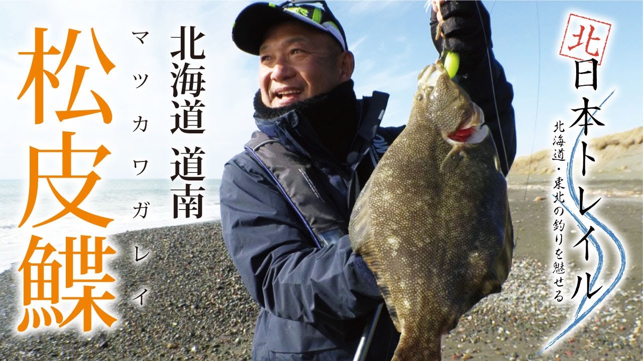 北海道道南 松皮鰈（マツカワガレイ）【北日本トレイルvol.14】