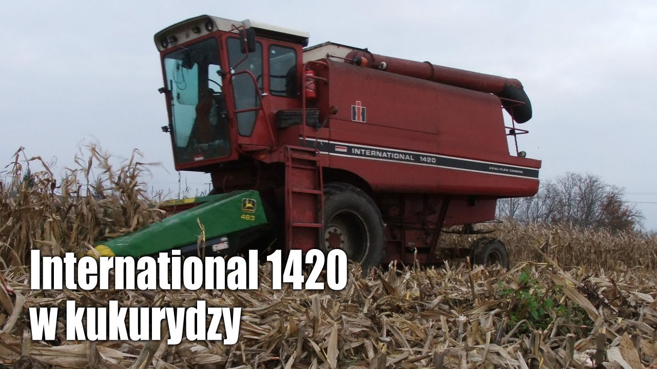 International 1420 Axial-Flow w kukurydzy