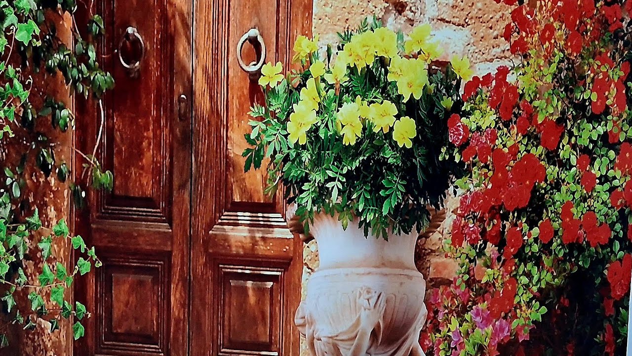 አሰላሙአለይኩም /በጀነትሰላምታ