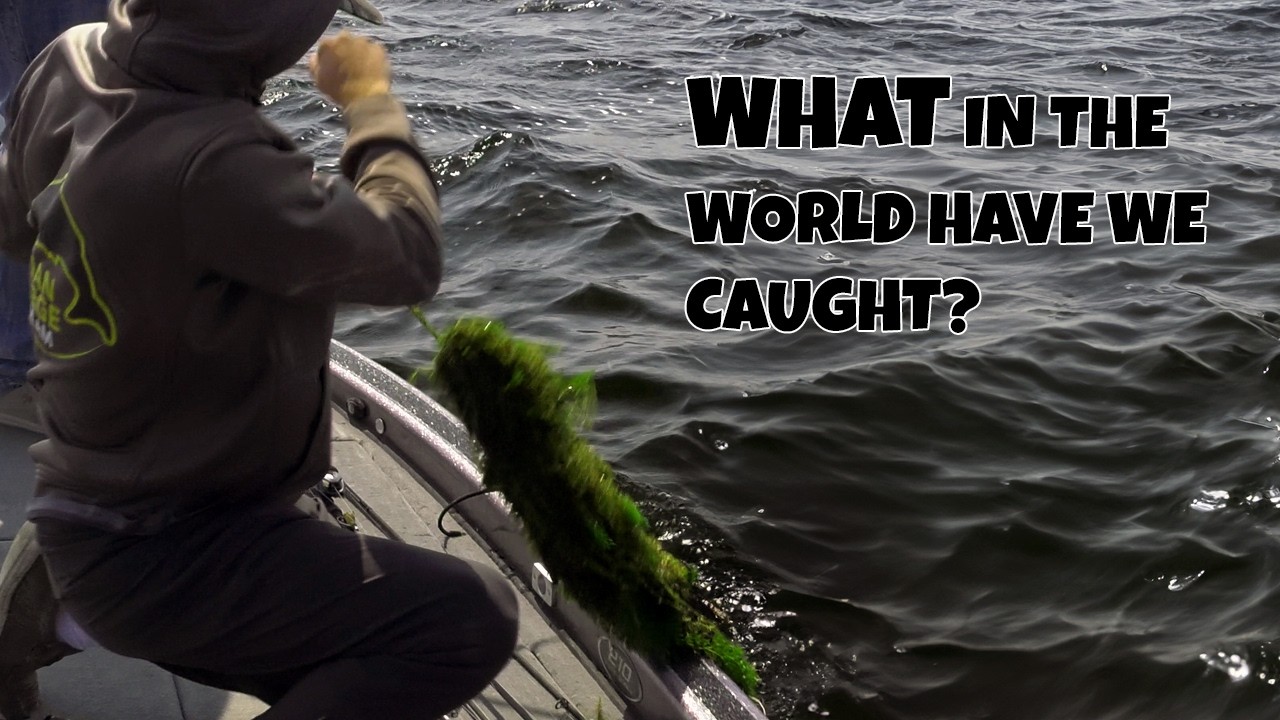 You Won’t Believe What We Found Fishing in Michigan