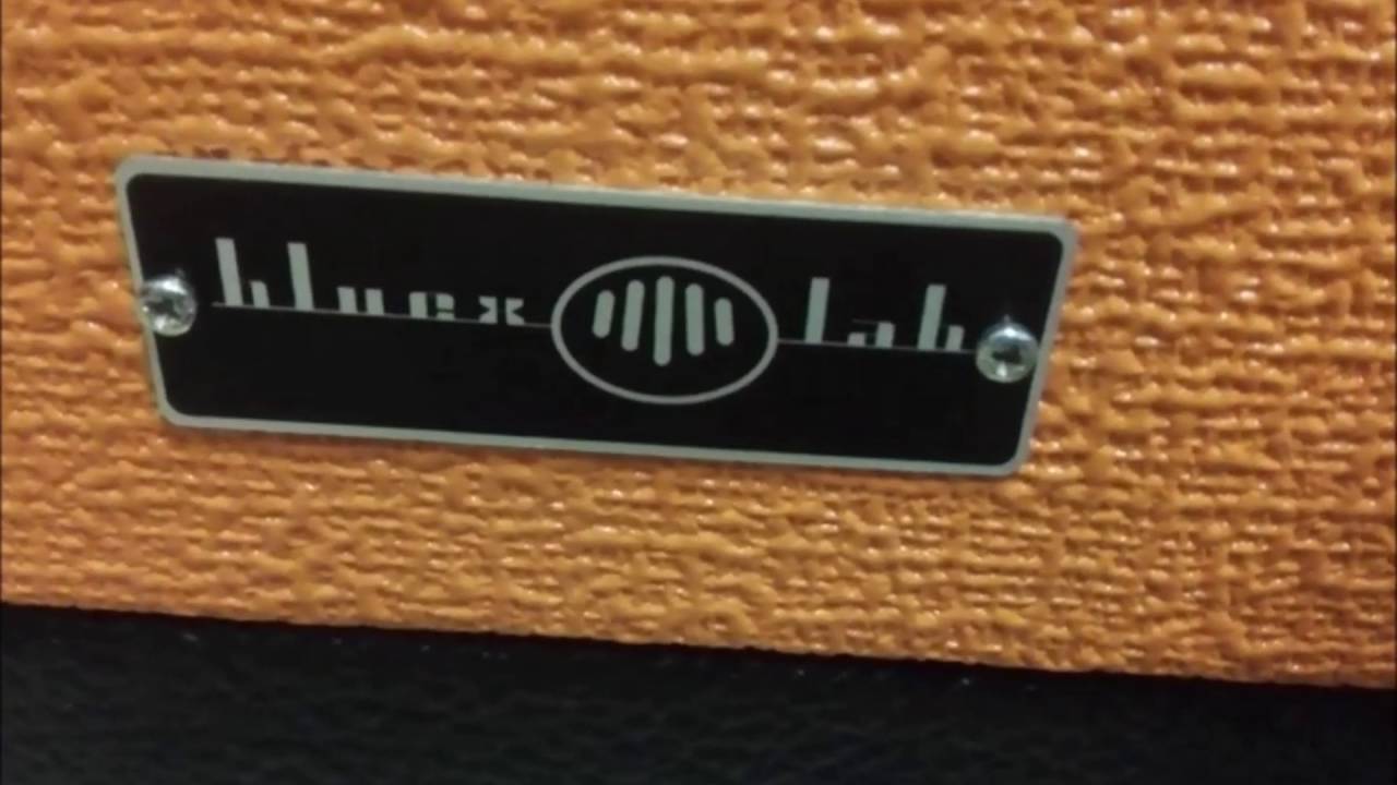 Bluexlab Harmonica Case