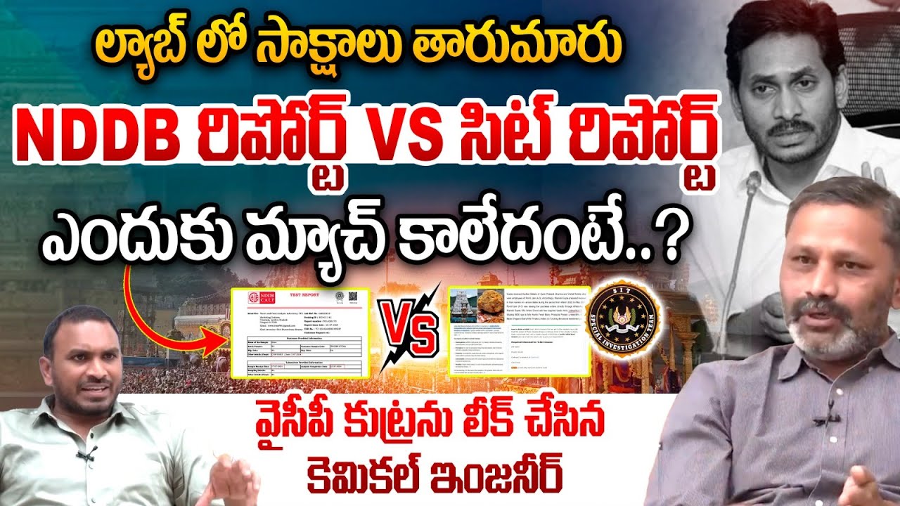 Paruchuri Mallik On Ghee Adulteration Controversy : NDDB రిపోర్ట్ vs SIT రిపోర్ట్ | Wild Wolf Telugu