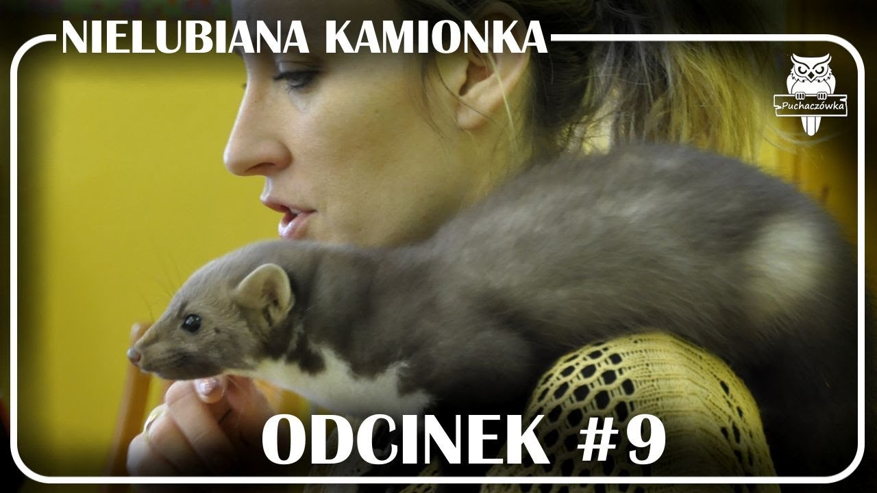 Odcinek #9 - Nielubiana kamionka 🐾