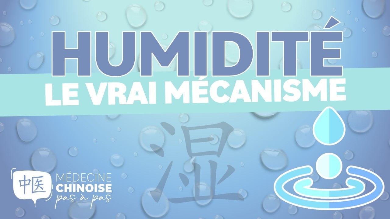 #48 - 💧HUMIDITÉ en Médecine chinoise : comprendre sa nature et son mécanisme ☯️