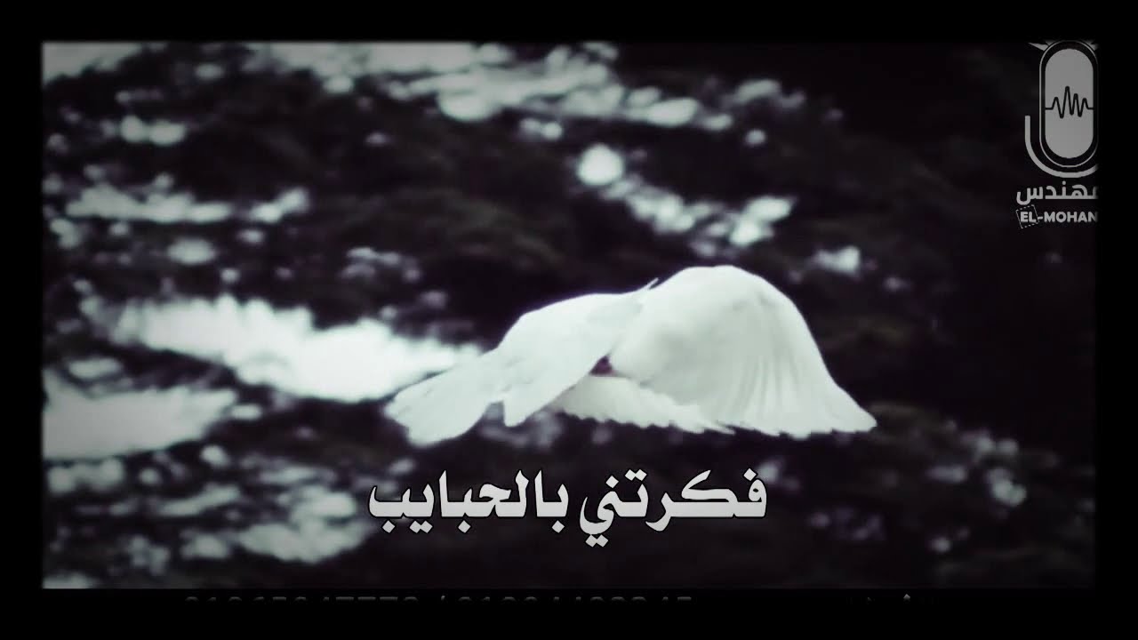 يا حمام بتنوح ليه.... الشيخ أيمن هريدي ابدااااع؟؟؟