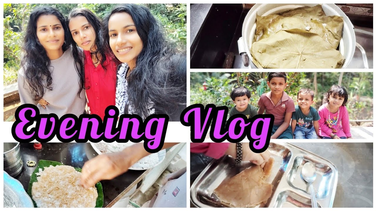 എന്റെ ഒരു വൈകുന്നേരം..... evening vlog#dayinmylife 