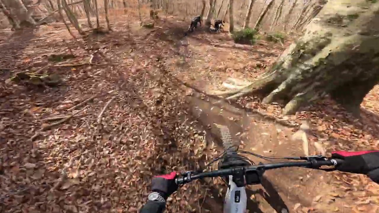 Vipra slow with foliage enduro MTB - Monte Fogliano Vetralla