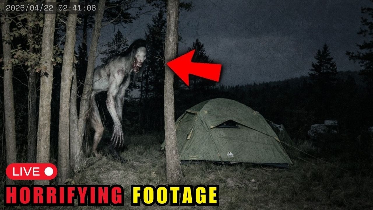 3 Hours of Most DISTURBING Camping Encounters Caught on Camera