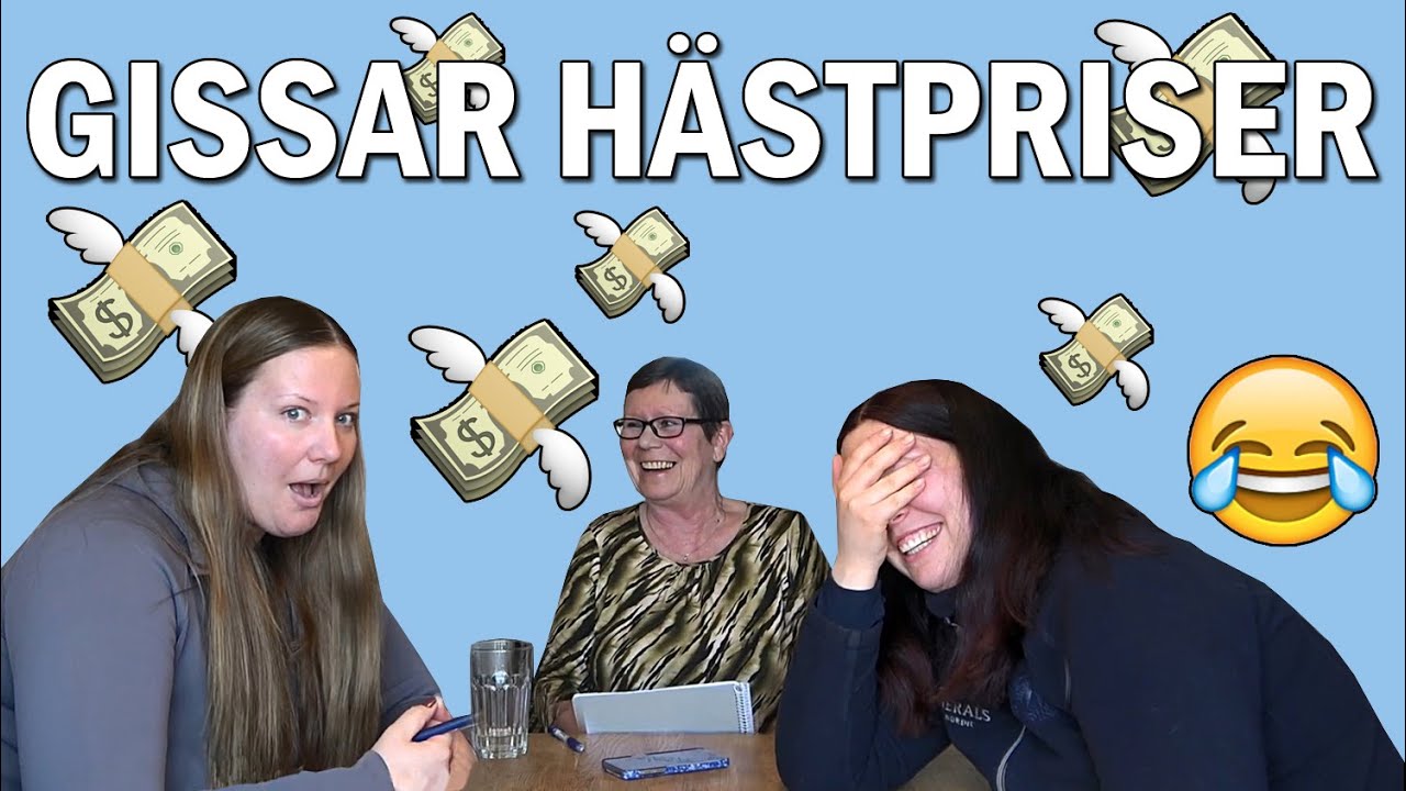 Gissar priset på hästar till salu - Del 6