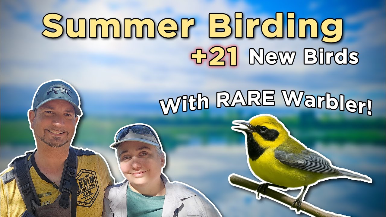 21 New Birds This Summer… Including a Rare Warbler!