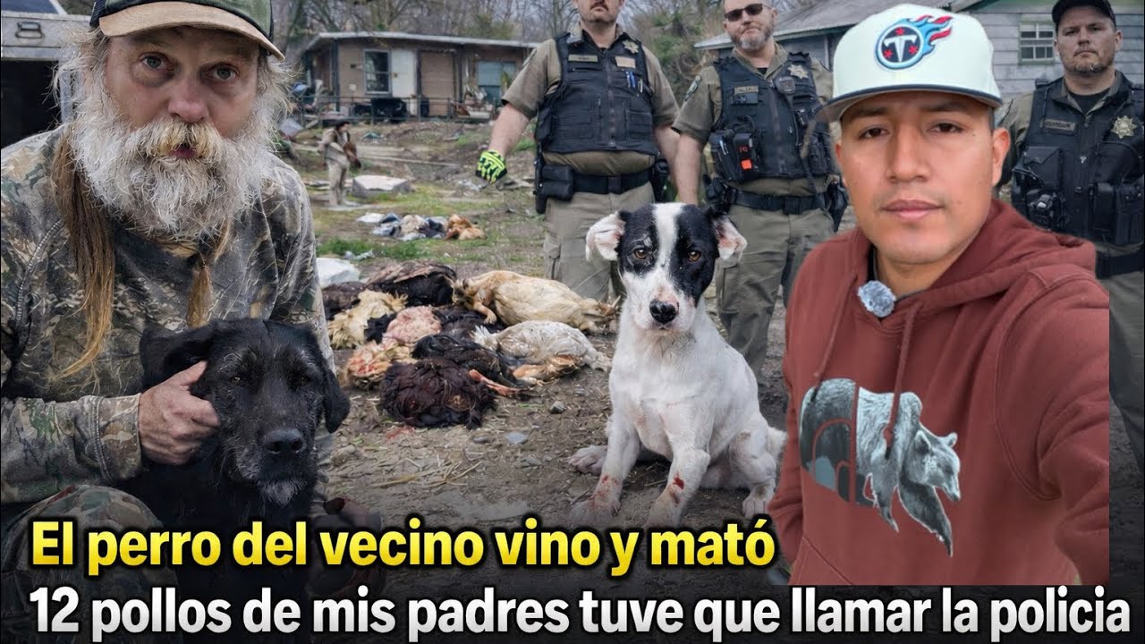 “El perro del vecino mató 12 pollos de mis padres tuve que llamar a la policía”