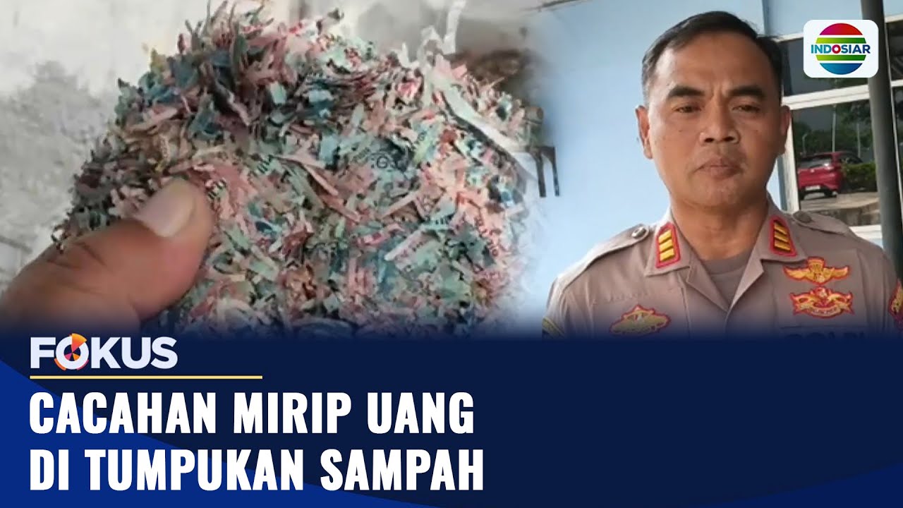 Cacahan Mirip Uang di Tumpukan Sampah | Fokus
