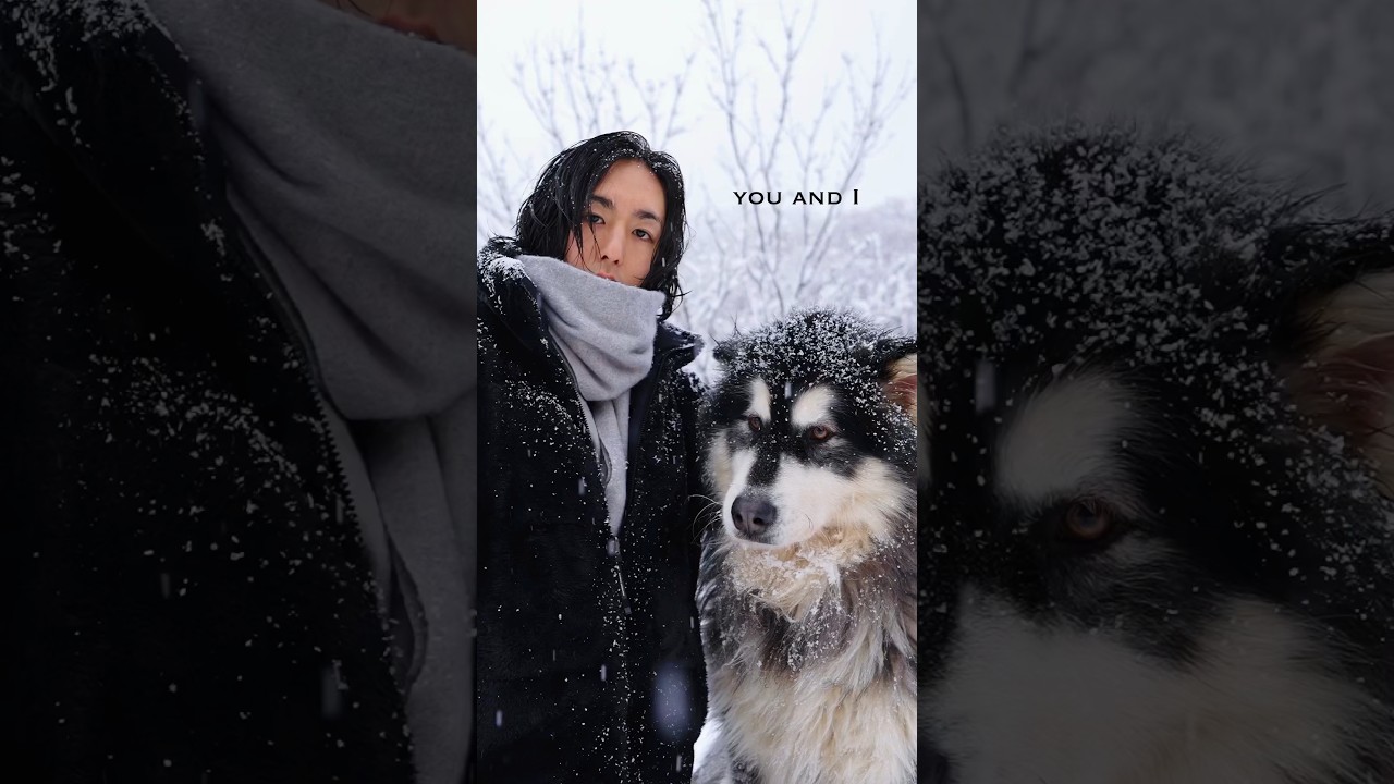 Beautiful connection #slowlife #mountainlife #malamute #cinematography