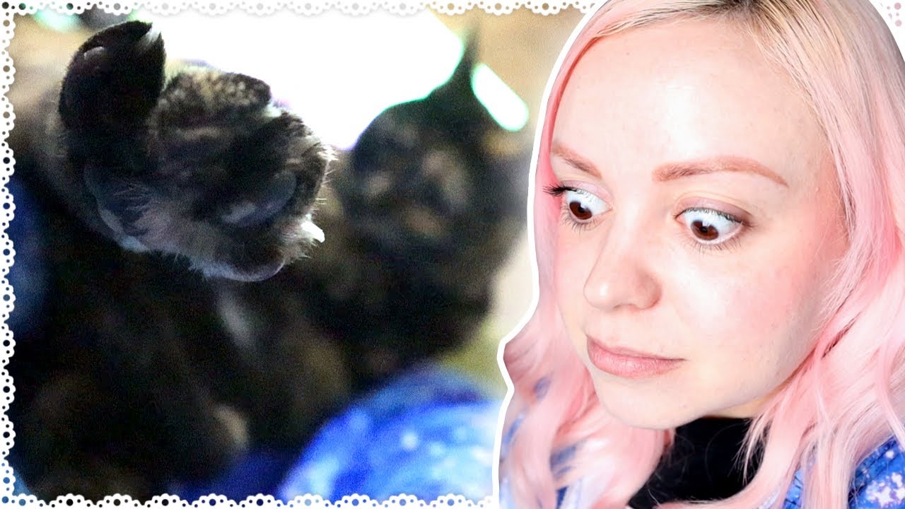 My Daughter is a Hoor!   |Vlarch Day 22|