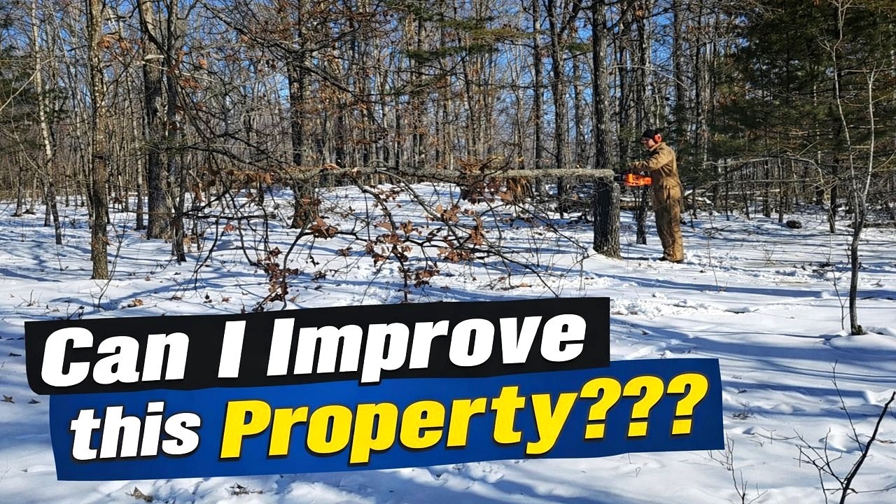 WILDLIFE Habitat IMPROVEMENT on the North Ridge (A Little T.S.I.)
