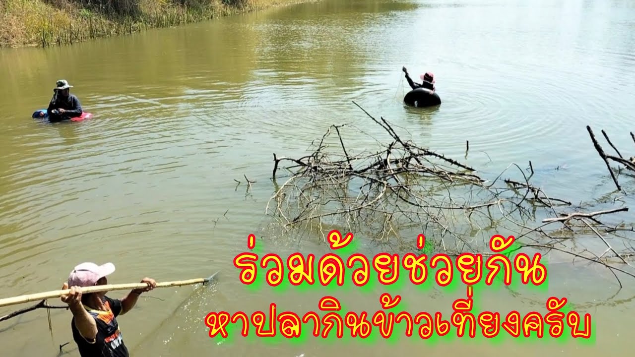 ร่วมด้วยช่วยกันหาปลากินข้าวเที่ยงครับผม
