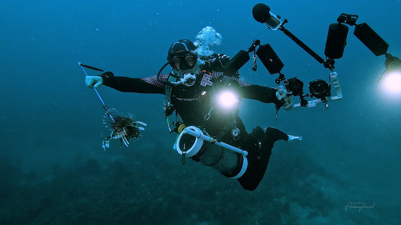 South Florida Winter Diving