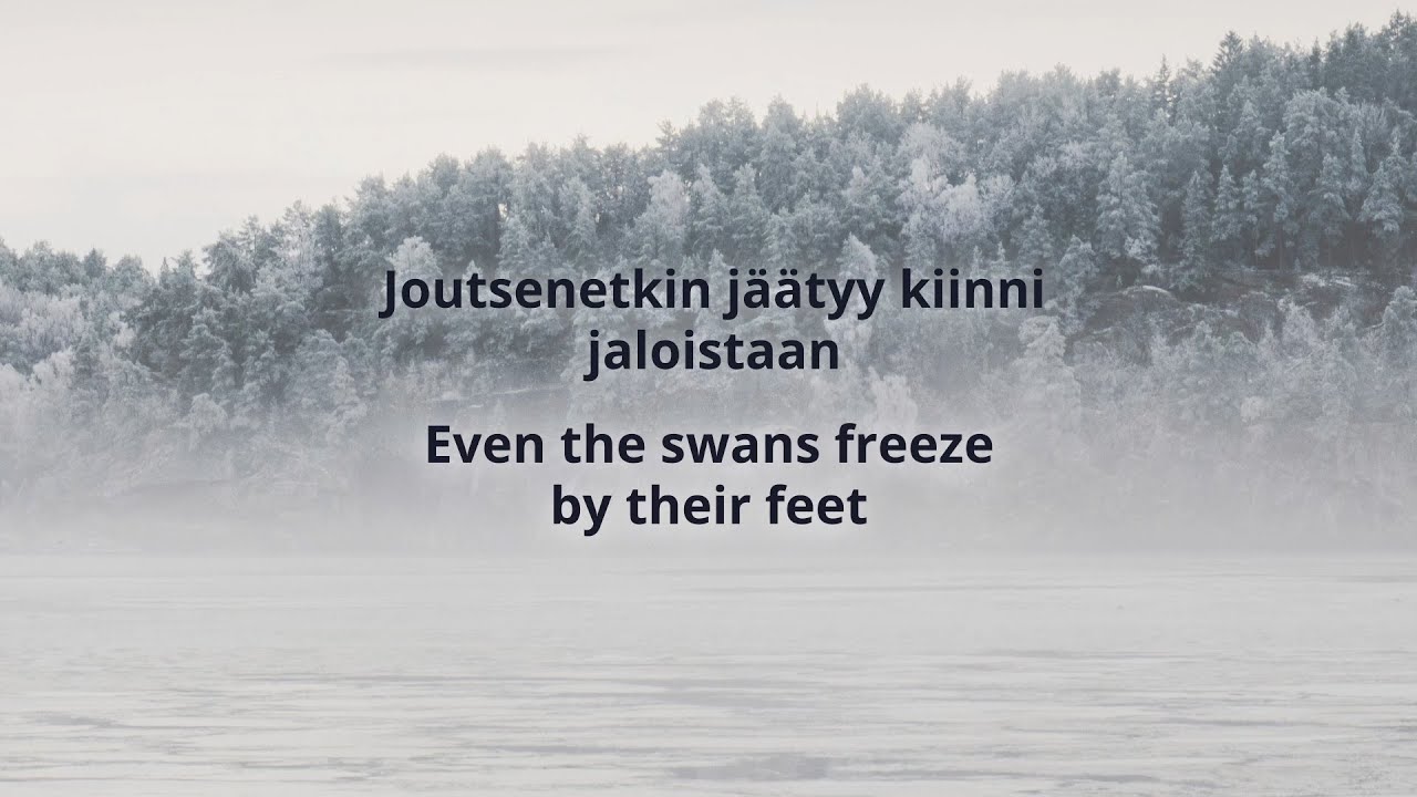 PMMP - Joutsenet Finnish & English lyrics