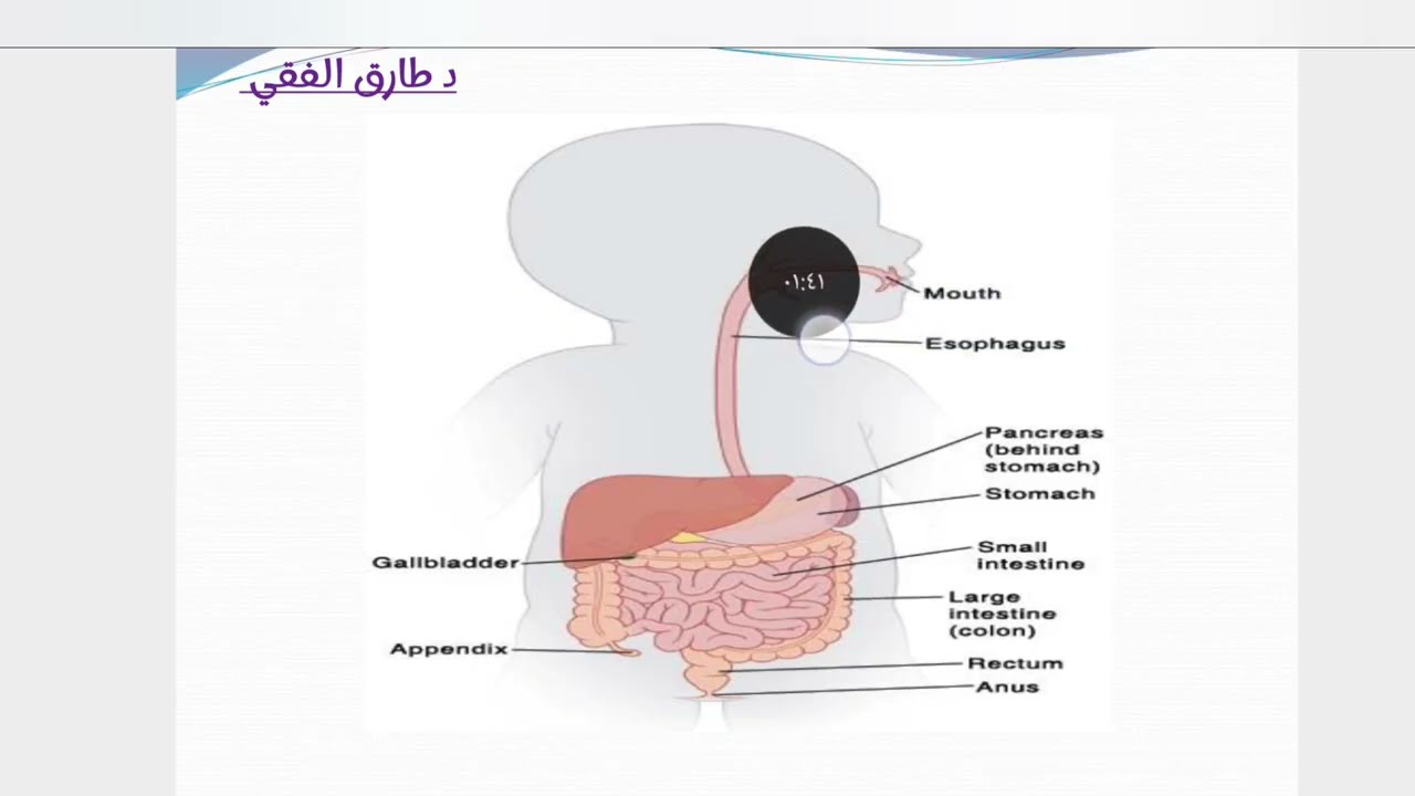 Gastrointestinal congenital anomalies |Part 1 | Dr Tarek Elfiky