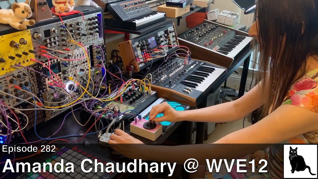 Amanda Chaudhary at Wonder Valley Experimental 12 (electronic music and jazz performance)