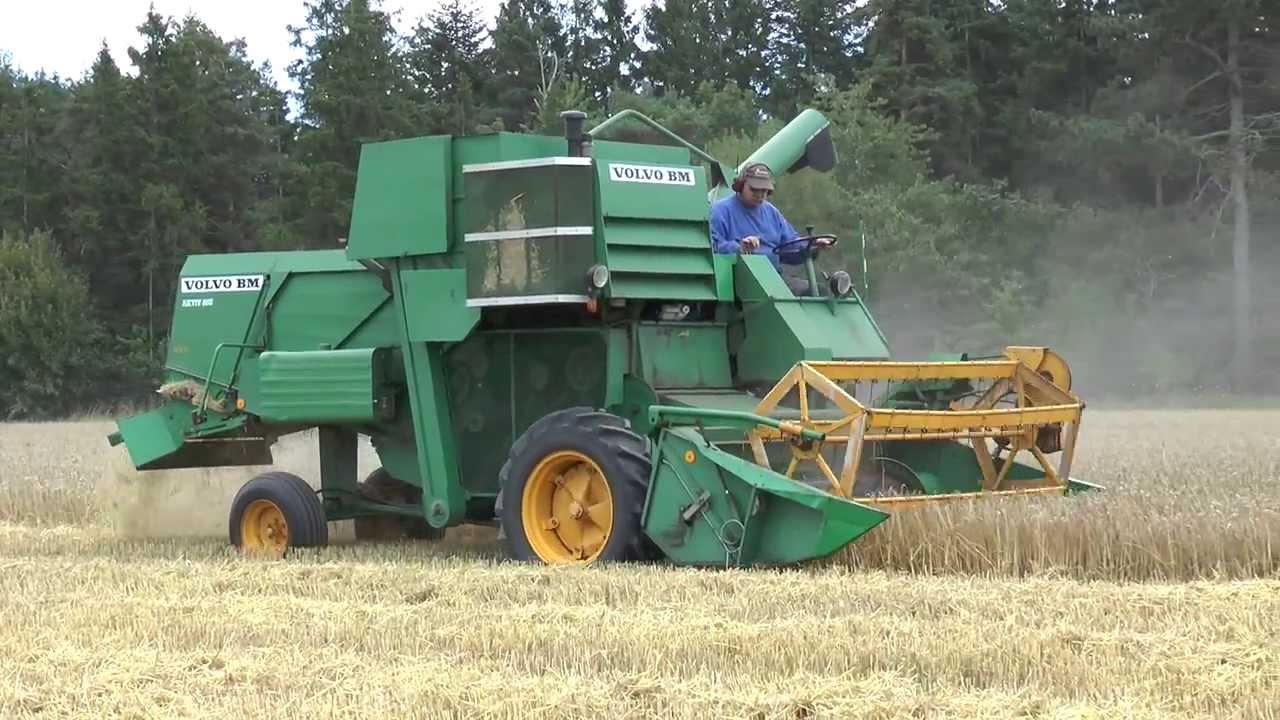 Harvests 2013 of barley with a Volvo BM 800 Active
