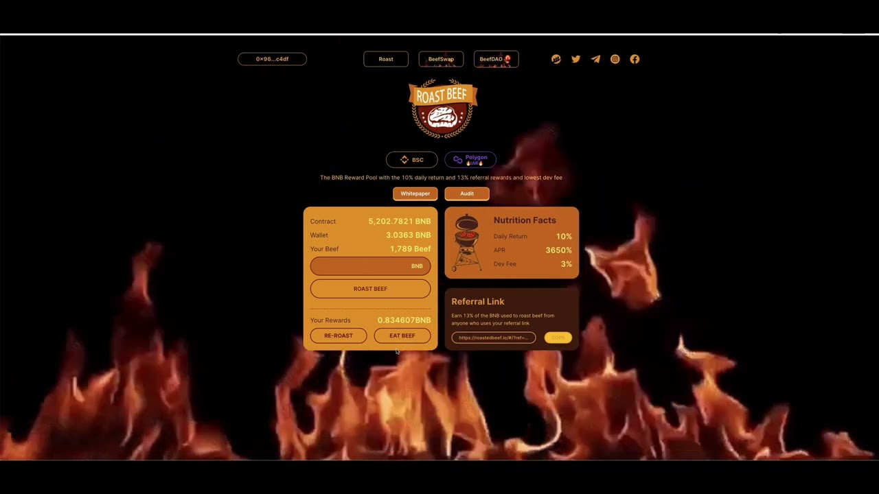 $319 Withdraw From Roast Beef BNB Miner