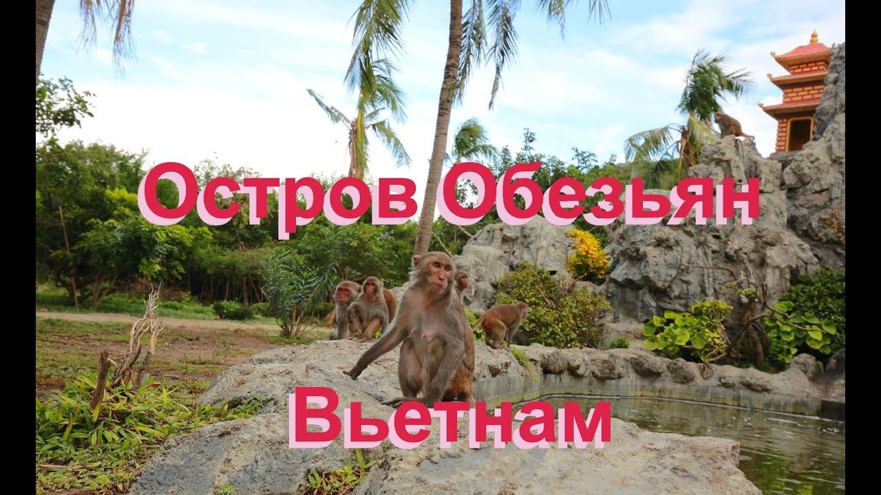 НяЧанг Остров обезьян Вьетнам