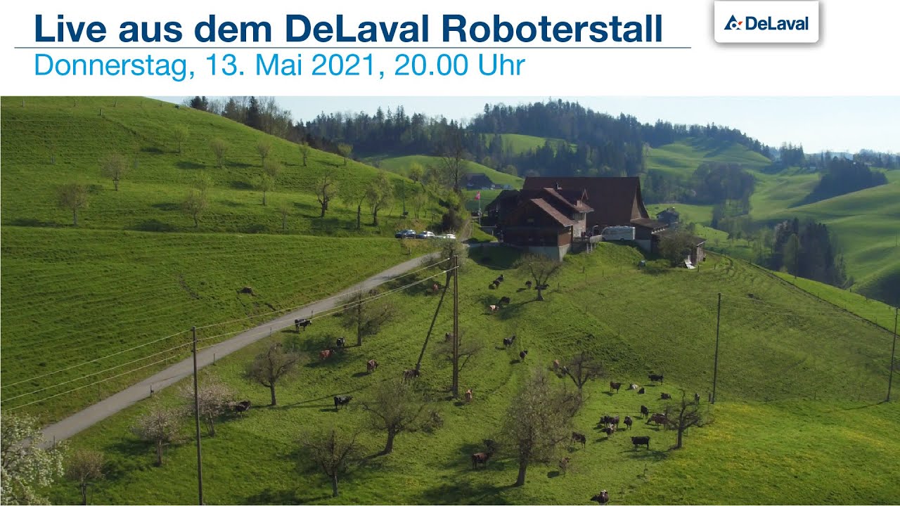 Live aus dem DeLaval Roboterstall - Familie Aregger