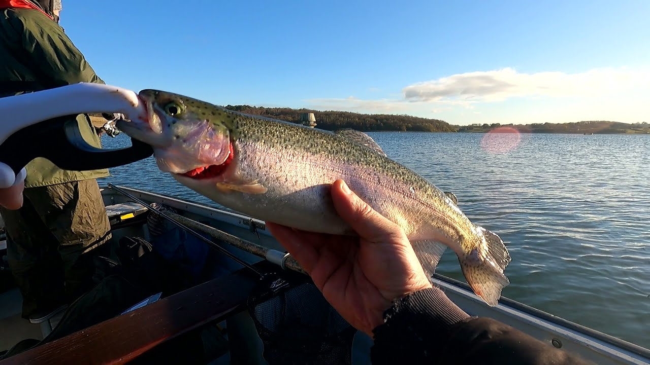SPINNING LA PASTRAV‼️🎣🎣🎣RAINBOW TROUT FISHING🐟🐠‼️