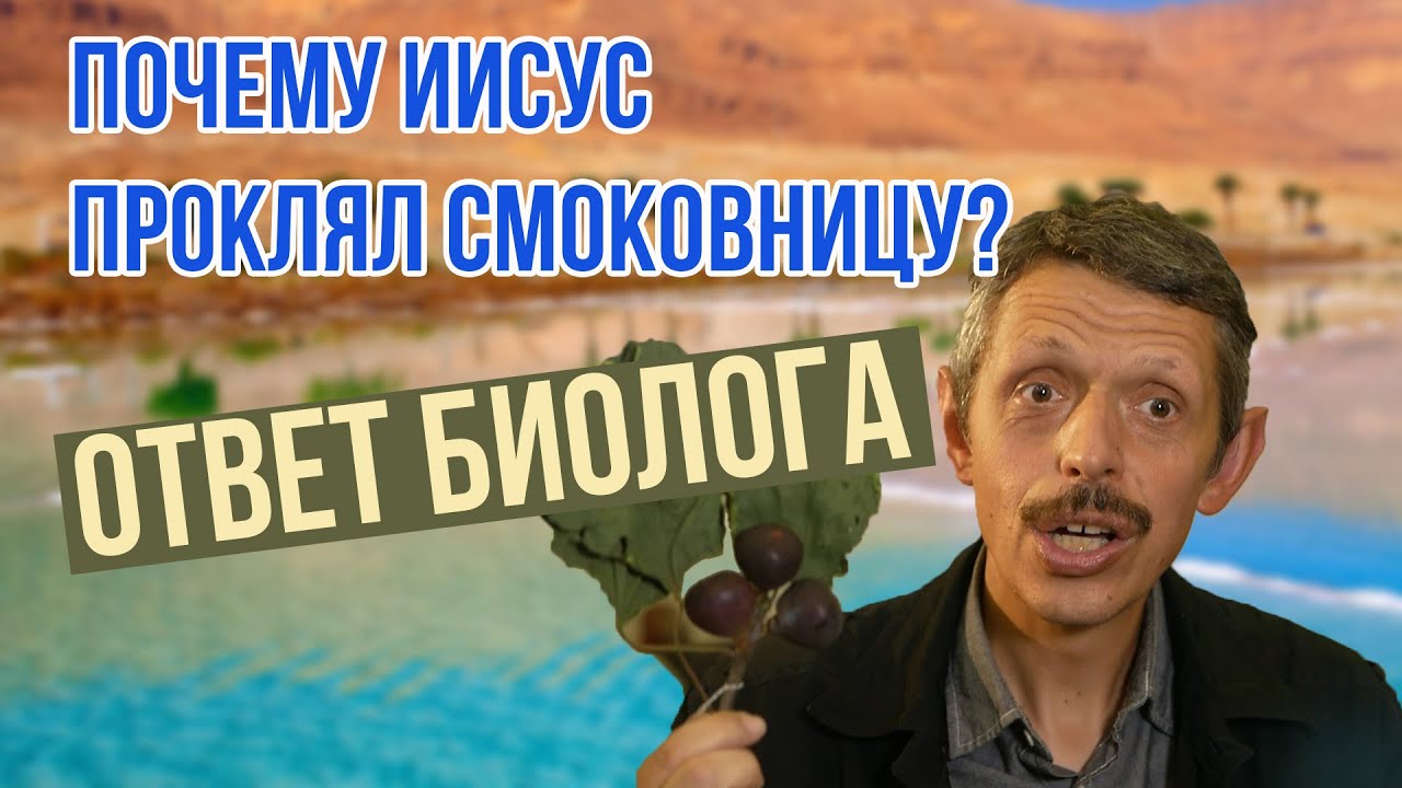 Почему Иисус проклял смоковницу? - ответ биолога