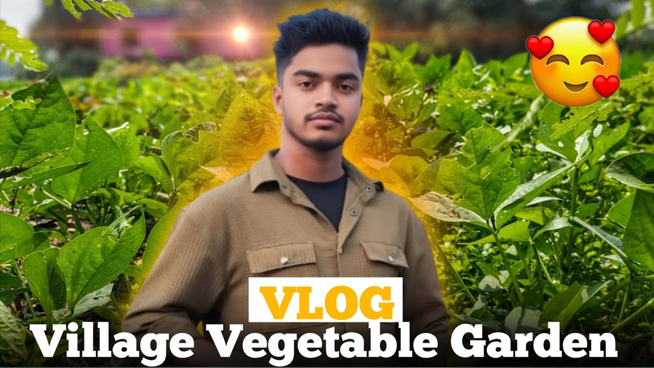 আমার গ্রামের সবজি ক্ষেত#villagevideo#grambangla#mdsumonkhan