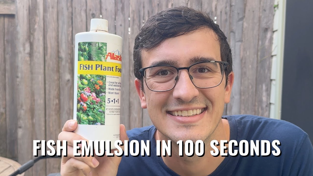 Fish Emulsion in 100 Seconds