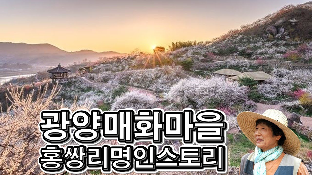랜선힐링여행, 전남 광양여행, &lsquo;매실 명인&rsquo; 홍쌍리 &ldquo;매화는 내 딸이요, 매실은 내 아들이라&rdquo;, 광양매화명인 홍쌍리 스토리