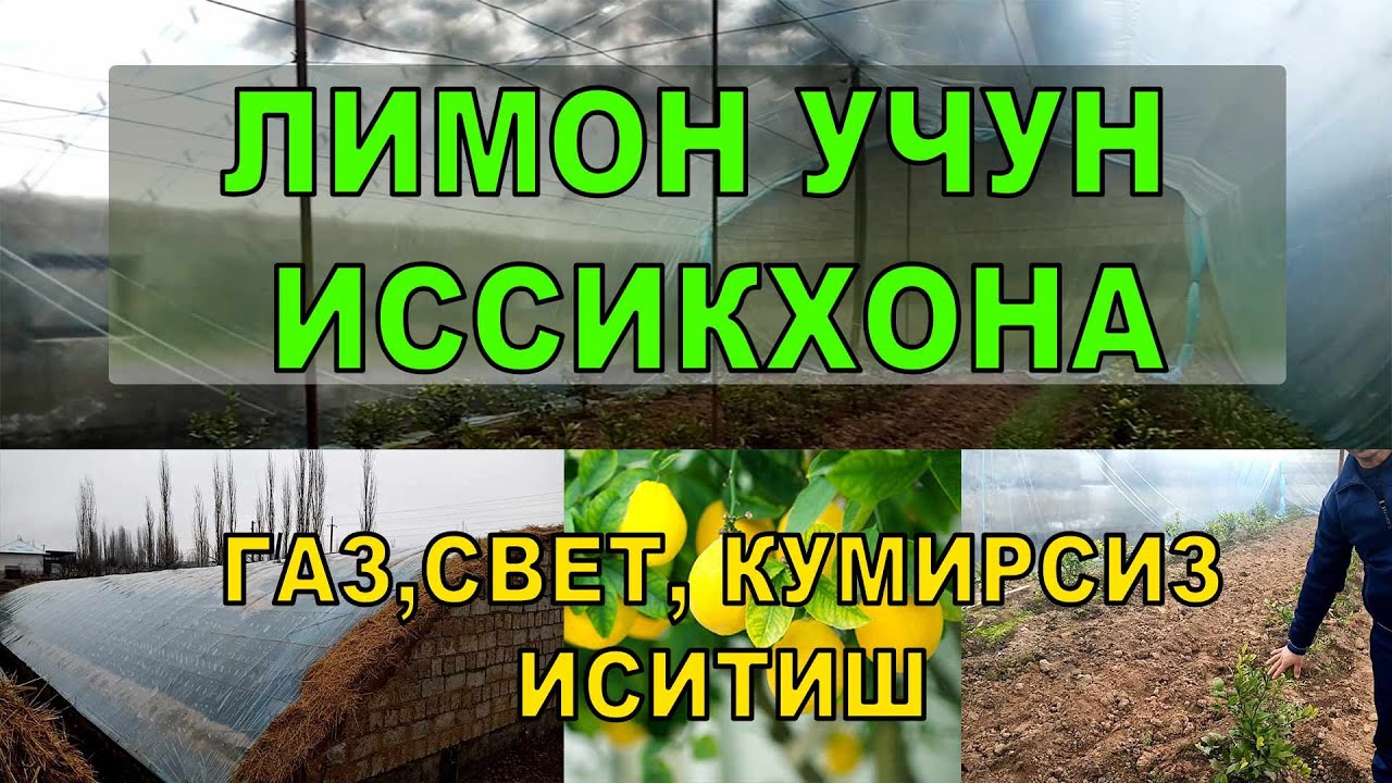 ЛИМОН ЭКИШ УЧУН ИССИҚХОНА ГАЗ СВЕТ КЎМИРСИЗ ИСИТИШ\ ТЕРМОЗ ТОРТИШ\ ИССИҚХОНА\ ТЕПЛИЦА СВОИМИ РУКАМИ