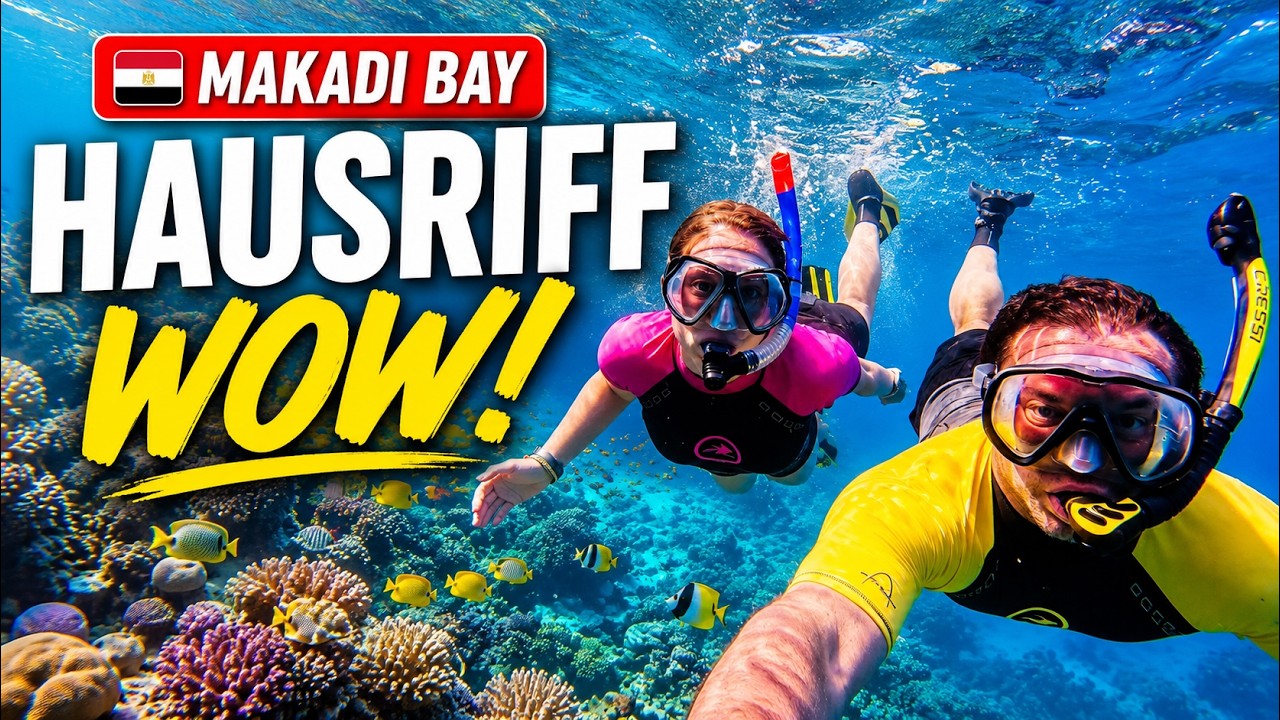 4K HAUSRIFF - MAKADI BAY (Ägypten)  #beautiful #underwater #makadibay #makadispa